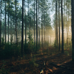 Auxiga UK goes Carbon Neutral