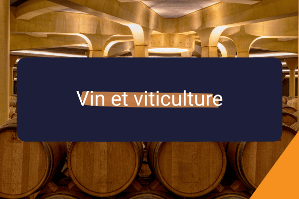 Vin et gage sur stock